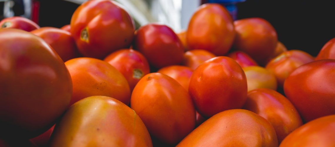 exportaciones agroalimenticias